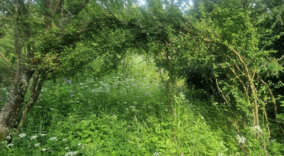 Nowhereland